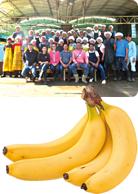 スウィーティオグリーンフォレストバナナと生産者の写真