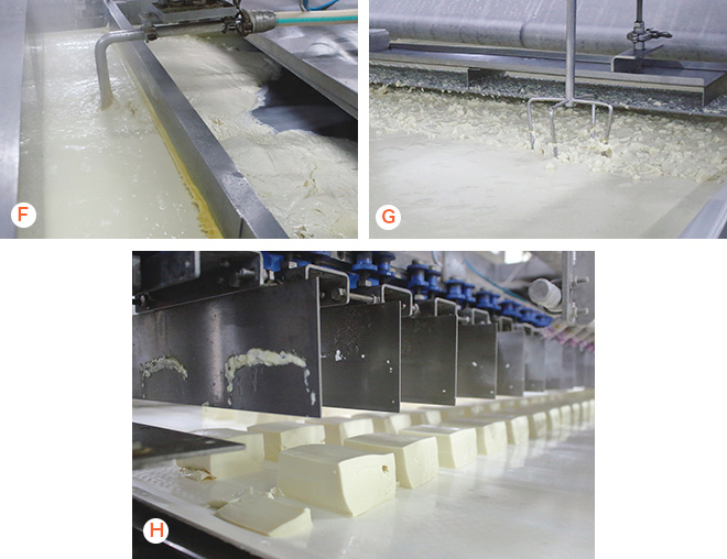 凝固・崩し・圧搾の様子