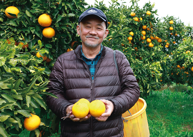産直 和歌山県産 清見オレンジで作ったドライフルーツ 生産者の写真