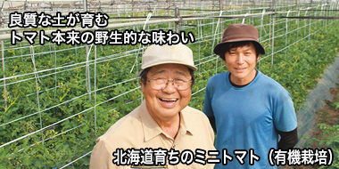 北海道育ちのミニトマト（有機栽培） おすすめ！コープの商品
